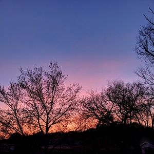 Meet your Posher, Mari